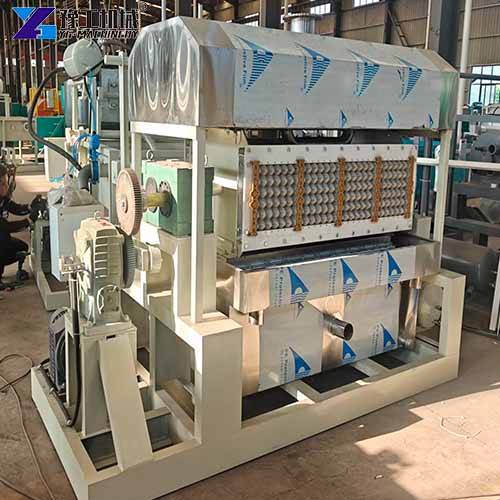 egg box making machines for sale