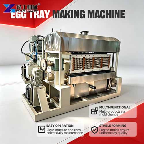 egg tray moulding machine